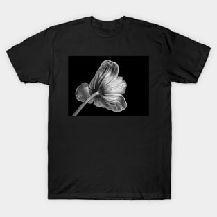 White Tulip in Black and White from Behind with Black Background T-Shirt